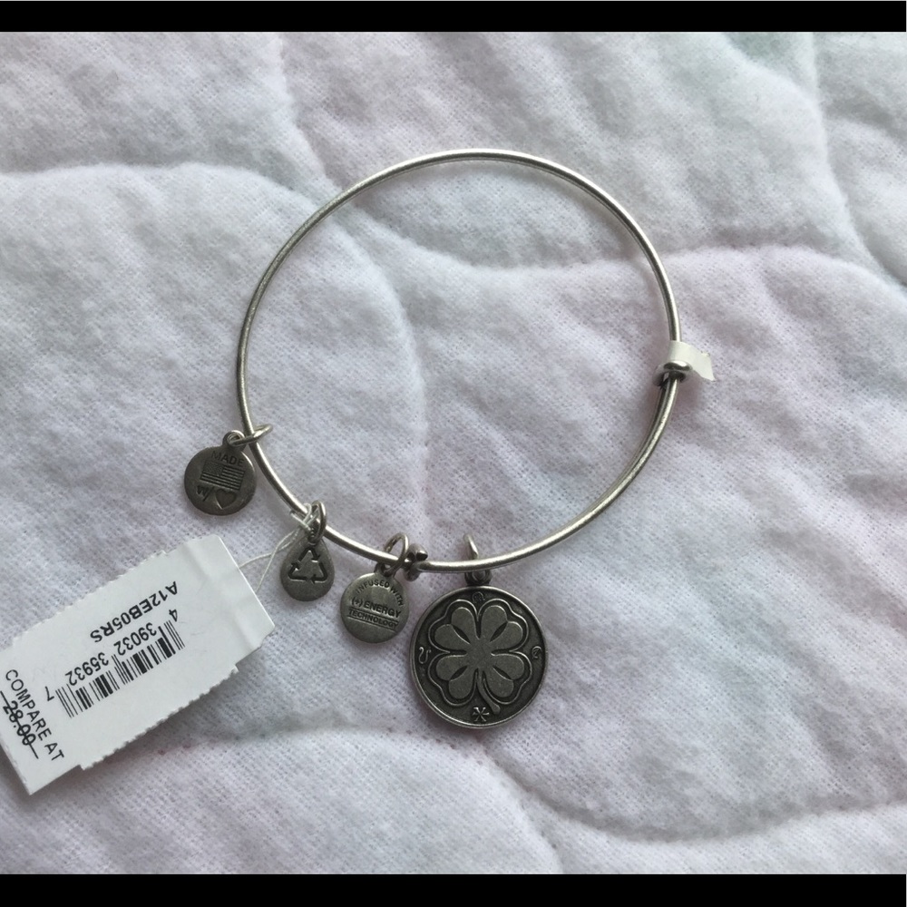 Alex and Ani bracelet - Picture 1 of 2
